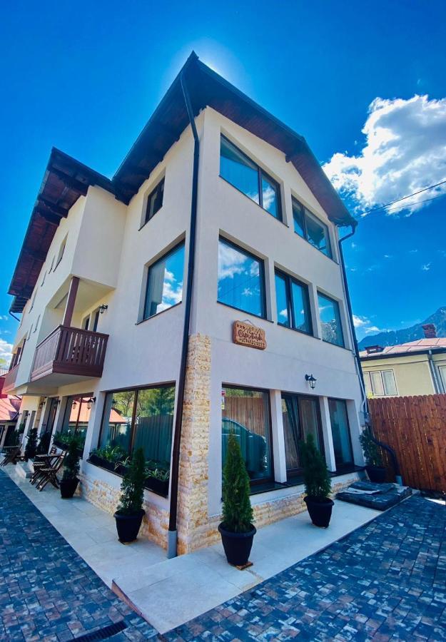 Casa Ankeli Bed & Breakfast Busteni Exterior photo